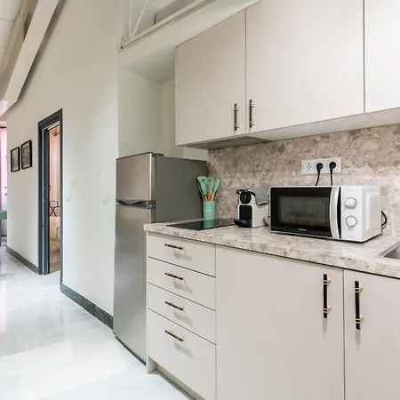 Argo7e Olehousing Apartment Seville